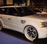 SEMA_2008-263