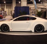 SEMA_2008-269