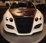 SEMA_2008-274