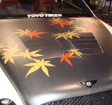 SEMA_2008-275