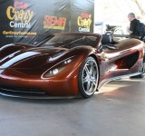 SEMA_2008-383